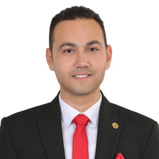 المهندس / توفيق مختار ‏محجوب - امين النقابة